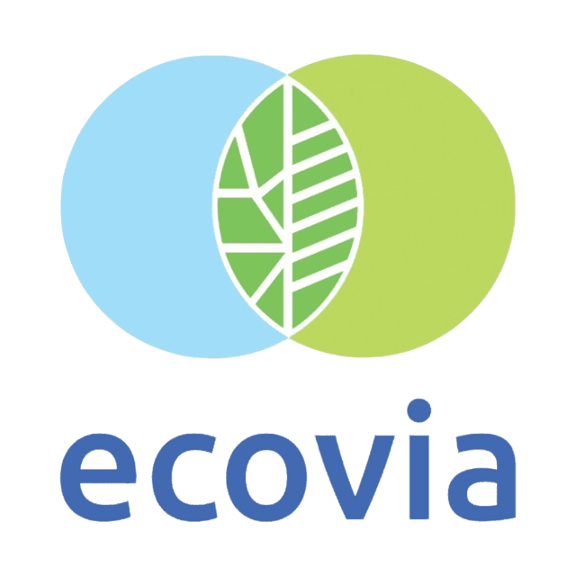 Glass and Hard Surface Cleaner – Ecovia